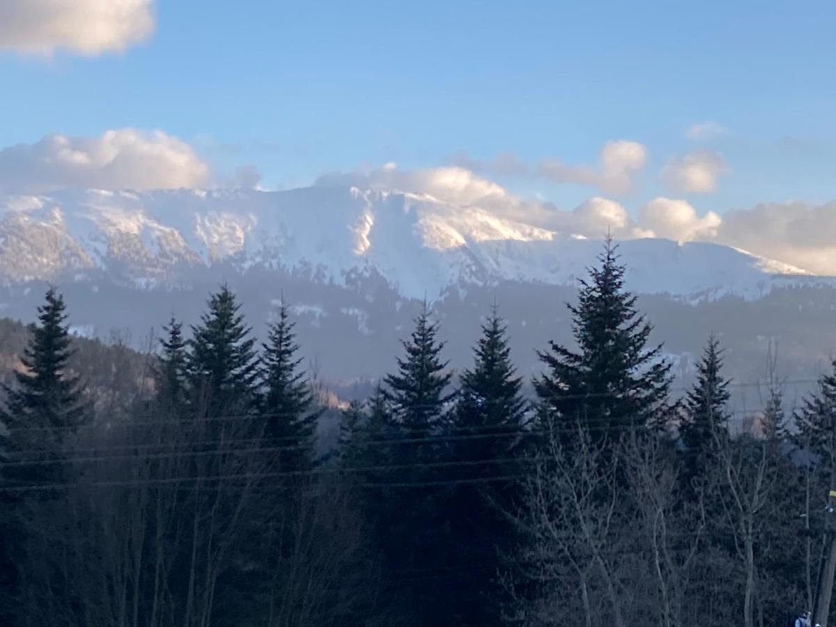 Vila Zawoja Nad Korona Z Jacuzzi Exteriér fotografie
