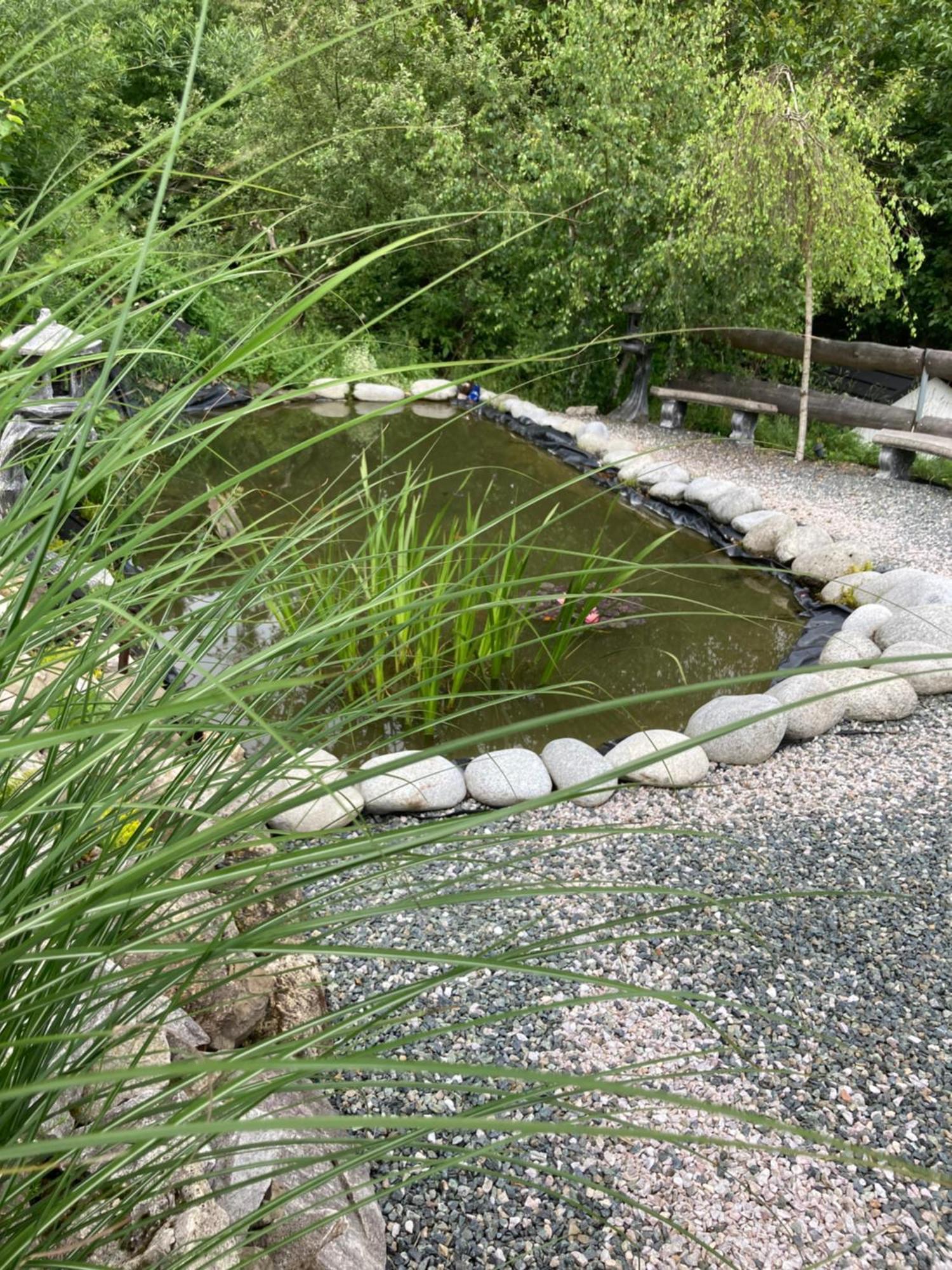 Vila Zawoja Nad Korona Z Jacuzzi Exteriér fotografie